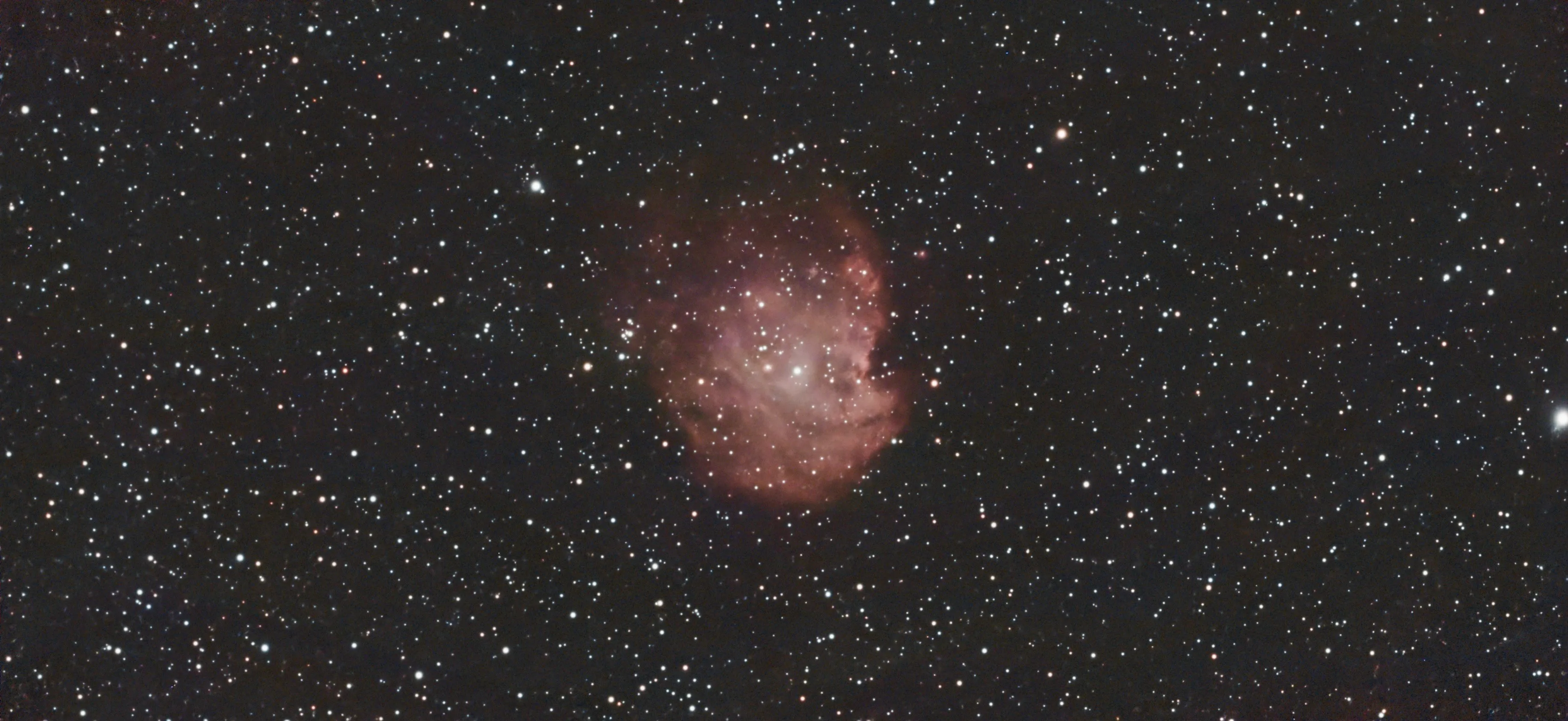 Horsehead Nebula (ngc 2174)
